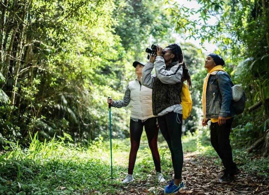 Nature photographers and birdwatchers