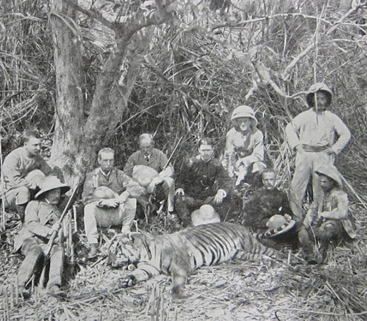 Chowgarh Tigress and her cub terrorized Kumaon forest villages