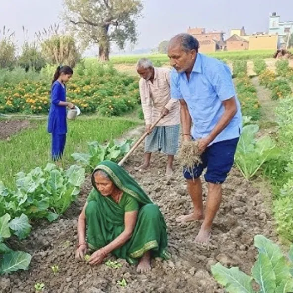 Farm-to-table meal preparation with fresh local ingredients