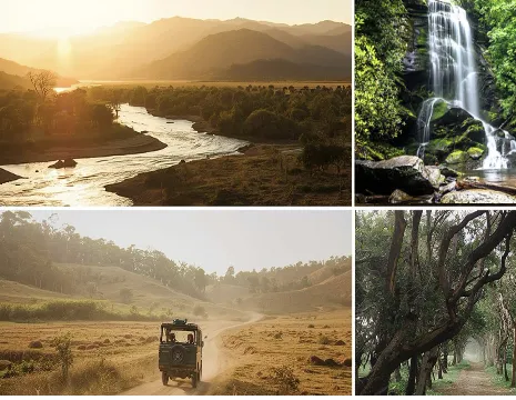 Thumbnail for Top Things to Do Near Jim Corbett