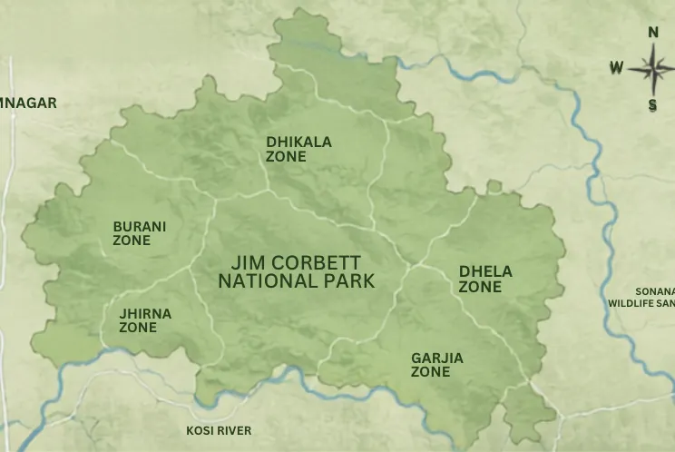 Thumbnail for Complete Guide to Jim Corbett Safari Booking