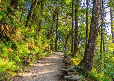 Nature Walks