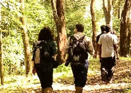 Travellers seeking special long-stay packages