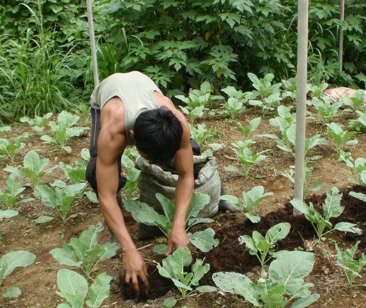 Organic Farming