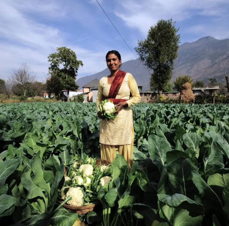 Organic Farming Experience