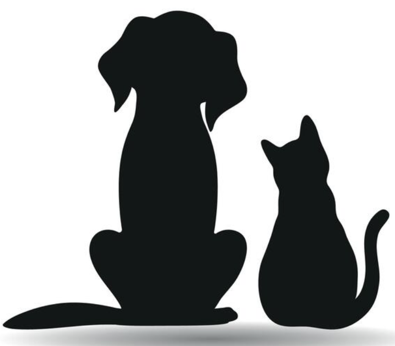 Pet-Friendly Retreat