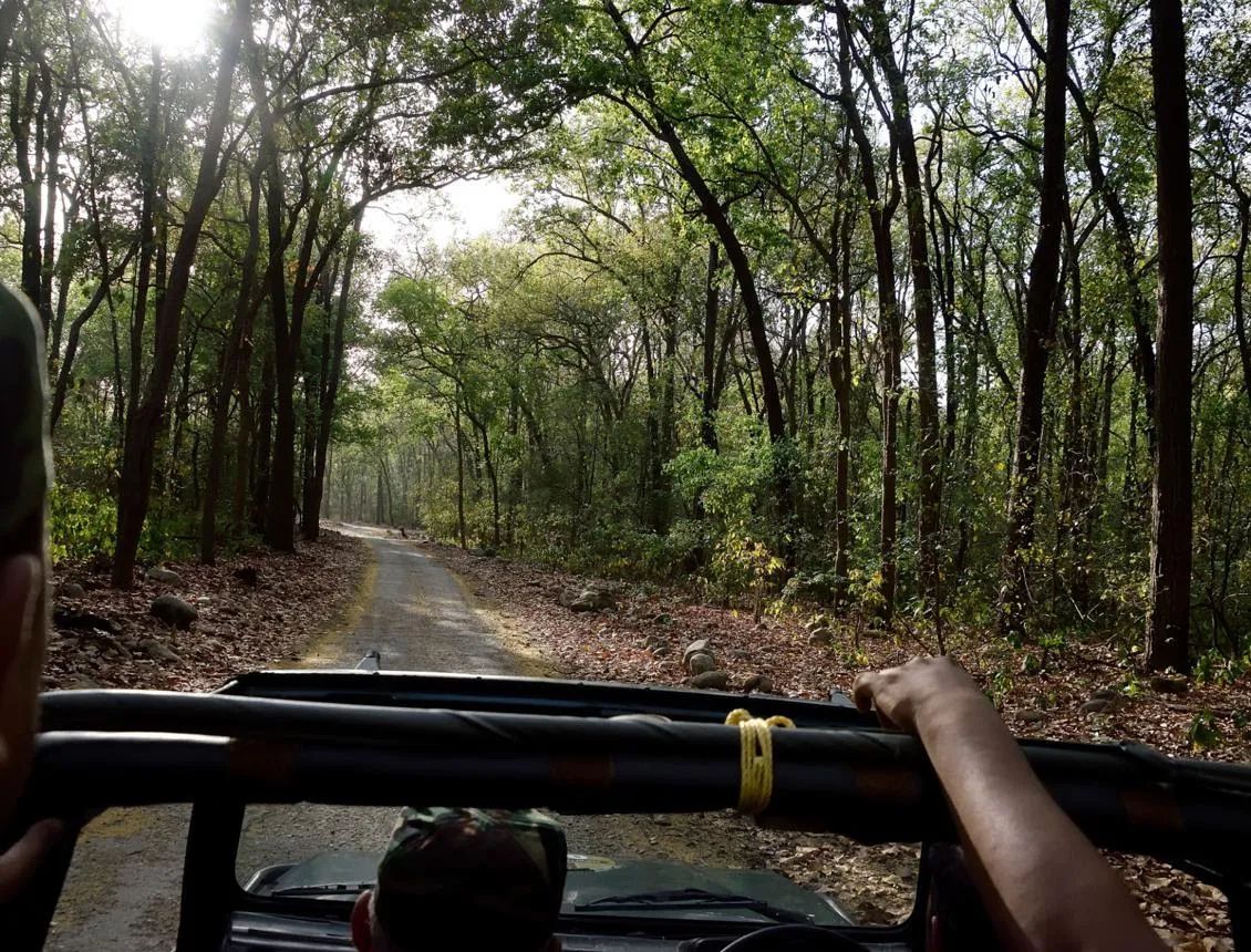 Wildlife enthusiasts visiting Corbett National Park