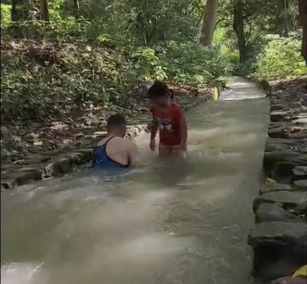 Forest Stream Picnic